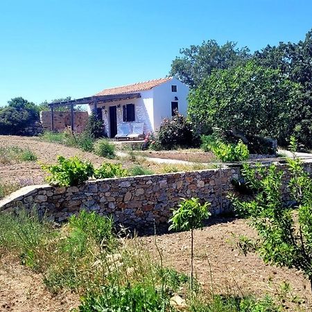 Willa The Pigeon House Potamos  Zewnętrze zdjęcie
