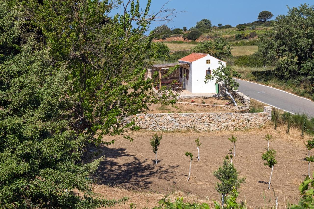 Willa The Pigeon House Potamos  Zewnętrze zdjęcie