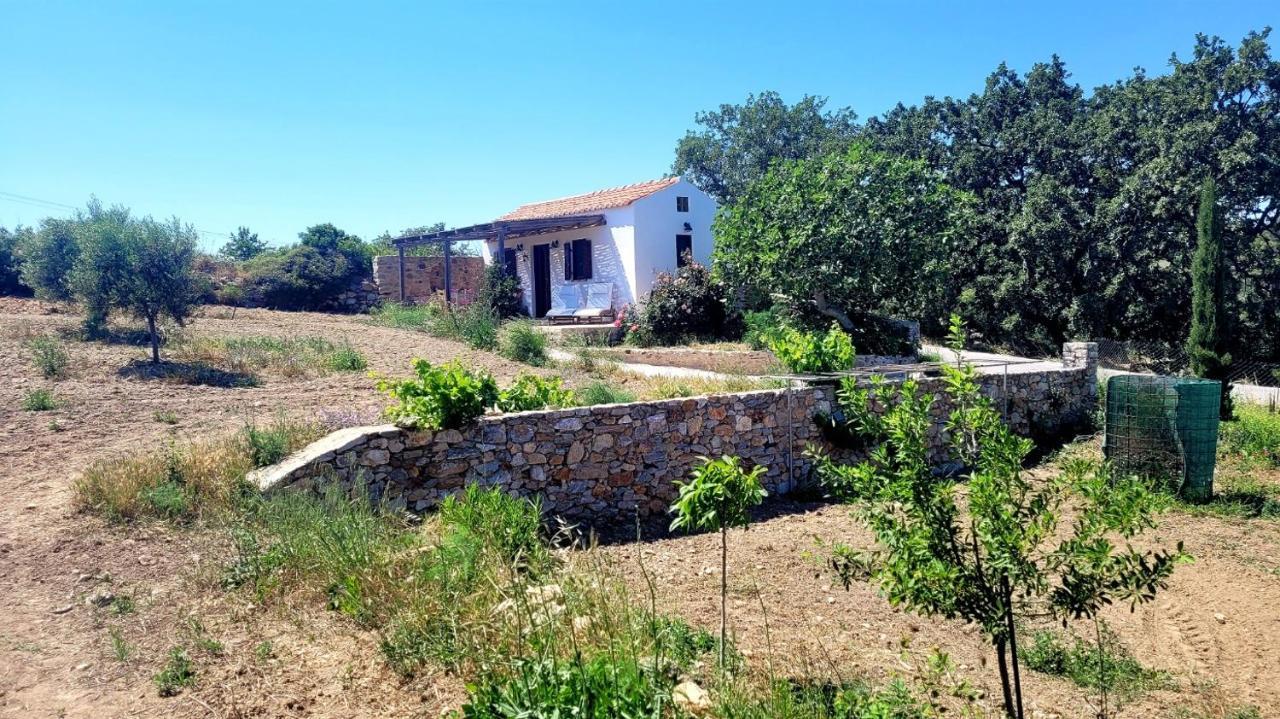 Willa The Pigeon House Potamos  Zewnętrze zdjęcie